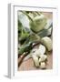 Kohlrabi, Partly Diced-Eising Studio - Food Photo and Video-Framed Photographic Print