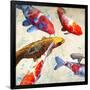 Koi 1-Teo Rizzardi-Framed Art Print