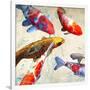 Koi 1-Teo Rizzardi-Framed Art Print