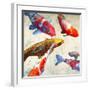 Koi 1-Teo Rizzardi-Framed Art Print