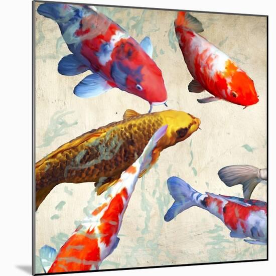 Koi 1-Teo Rizzardi-Mounted Art Print