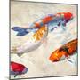 Koi 2-Teo Rizzardi-Mounted Art Print