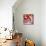 Koi and Cherry Blossoms-Natasha Wescoat-Mounted Giclee Print displayed on a wall