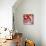 Koi and Cherry Blossoms-Natasha Wescoat-Premium Giclee Print displayed on a wall