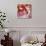 Koi and Cherry Blossoms-Natasha Wescoat-Giclee Print displayed on a wall