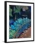 Koi and Hostas-Marco Cazzulini-Framed Giclee Print