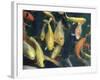 Koi Carp Fish in Pool, Taipei, Taiwan, Asia-Sylvain Grandadam-Framed Photographic Print