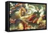 Koi Carp in Pond-null-Framed Stretched Canvas