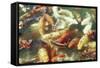 Koi Carp in Pond-null-Framed Stretched Canvas