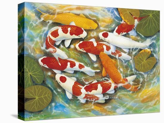 Koi-Carp-B Lee-Stretched Canvas