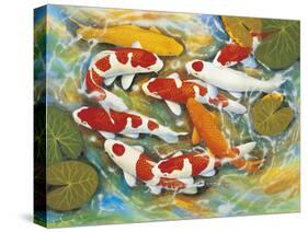 Koi-Carp-B Lee-Stretched Canvas