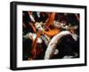 Koi Carp-PlazacCameraman-Framed Photographic Print