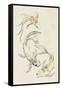 Koi Dance I-June Vess-Framed Stretched Canvas