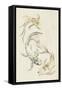 Koi Dance I-June Vess-Framed Stretched Canvas