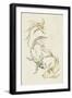 Koi Dance I-June Vess-Framed Art Print