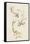 Koi Dance II-June Vess-Framed Stretched Canvas