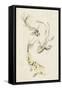 Koi Dance II-June Vess-Framed Stretched Canvas