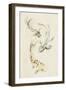 Koi Dance II-June Vess-Framed Art Print