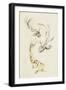 Koi Dance II-June Vess-Framed Art Print