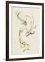 Koi Dance II-June Vess-Framed Art Print