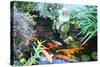 Koi Fish Garden-photojohn830-Stretched Canvas