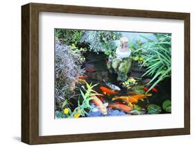 Koi Fish Garden-photojohn830-Framed Photographic Print