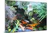 Koi Fish Garden-photojohn830-Mounted Photographic Print