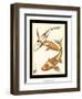 Koi Fish I-Chariklia Zarris-Framed Art Print