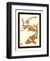 Koi Fish I-Chariklia Zarris-Framed Art Print