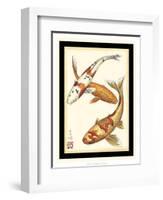 Koi Fish I-Chariklia Zarris-Framed Art Print