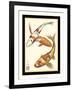 Koi Fish I-Chariklia Zarris-Framed Art Print