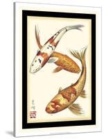 Koi Fish I-Chariklia Zarris-Stretched Canvas
