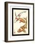 Koi Fish I-Chariklia Zarris-Framed Art Print