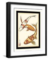 Koi Fish I-Chariklia Zarris-Framed Art Print