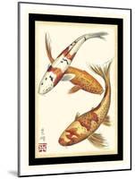 Koi Fish I-Chariklia Zarris-Mounted Art Print