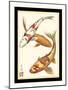 Koi Fish I-Chariklia Zarris-Mounted Art Print