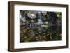 Koi Fish in Pond at the Garden with A Waterfall-luckypic-Framed Photographic Print