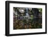 Koi Fish in Pond at the Garden with A Waterfall-luckypic-Framed Photographic Print