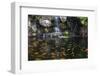 Koi Fish in Pond at the Garden with A Waterfall-luckypic-Framed Photographic Print