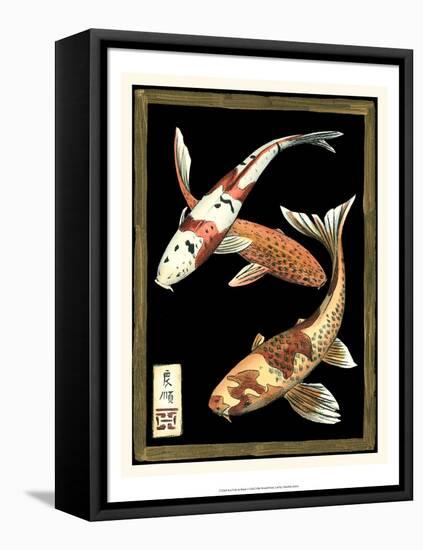 Koi Fish on Black I-Chariklia Zarris-Framed Stretched Canvas