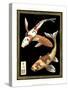 Koi Fish on Black I-Chariklia Zarris-Stretched Canvas