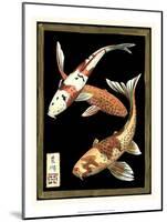 Koi Fish on Black I-Chariklia Zarris-Mounted Art Print