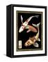 Koi Fish on Black I-Chariklia Zarris-Framed Stretched Canvas