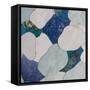 Koi Fish Pond II-Coco Good-Framed Stretched Canvas