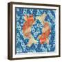 Koi    fish, water, nautical-Robbin Rawlings-Framed Art Print