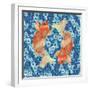 Koi    fish, water, nautical-Robbin Rawlings-Framed Art Print