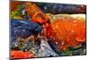 Koi Fish-WernerL-Mounted Photographic Print