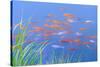 Koi Fishes in the Pond-kenny001-Stretched Canvas