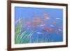 Koi Fishes in the Pond-kenny001-Framed Photographic Print