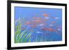 Koi Fishes in the Pond-kenny001-Framed Photographic Print